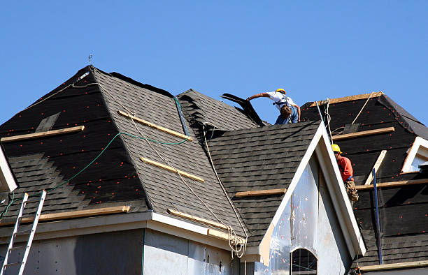 Best Roof Gutter Cleaning  in Braham, MN