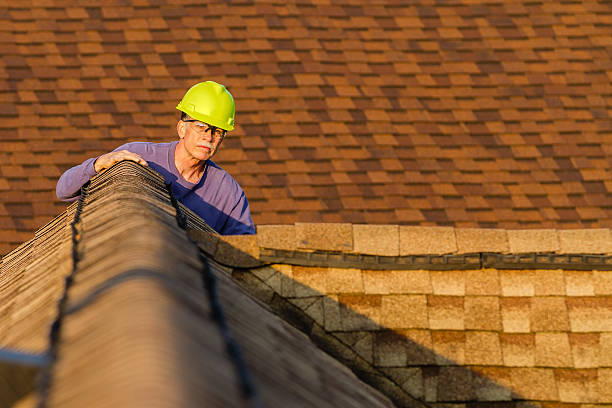 Best Roof Gutter Cleaning  in Braham, MN